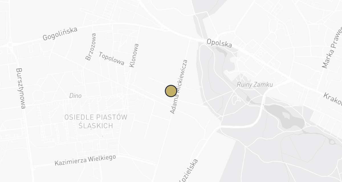 Mapa dojazdu: Przychodnia weterynaryjna - Andrzej Krupnik