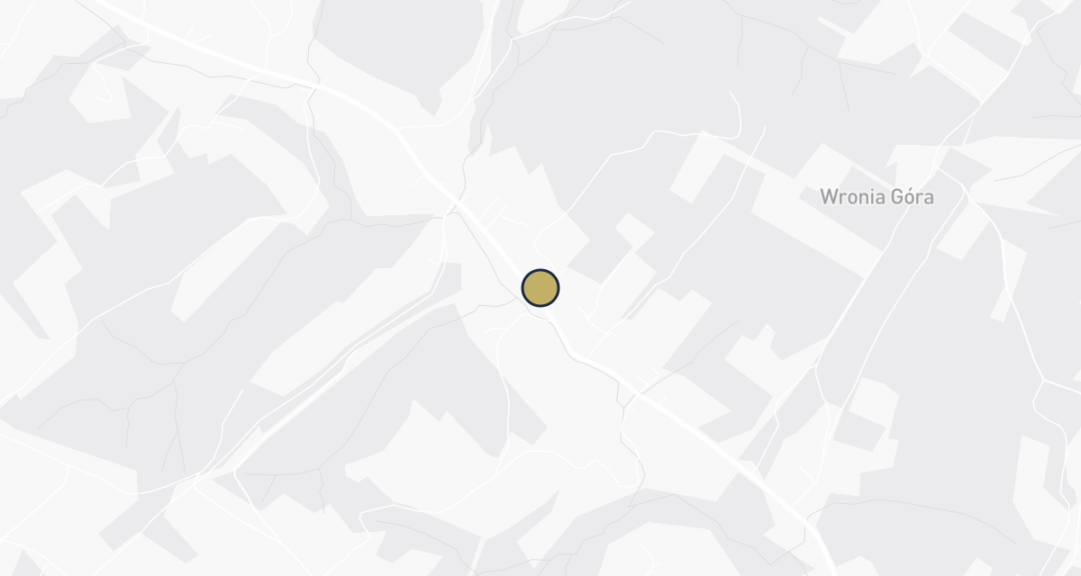 Mapa dojazdu: Baraniewicz M. Usługi weterynaryjne