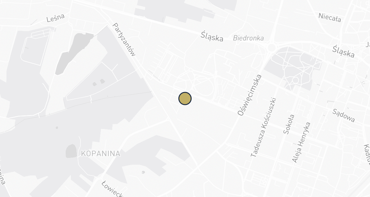 Mapa dojazdu: Przychodnia Weterynaryjna ProVet