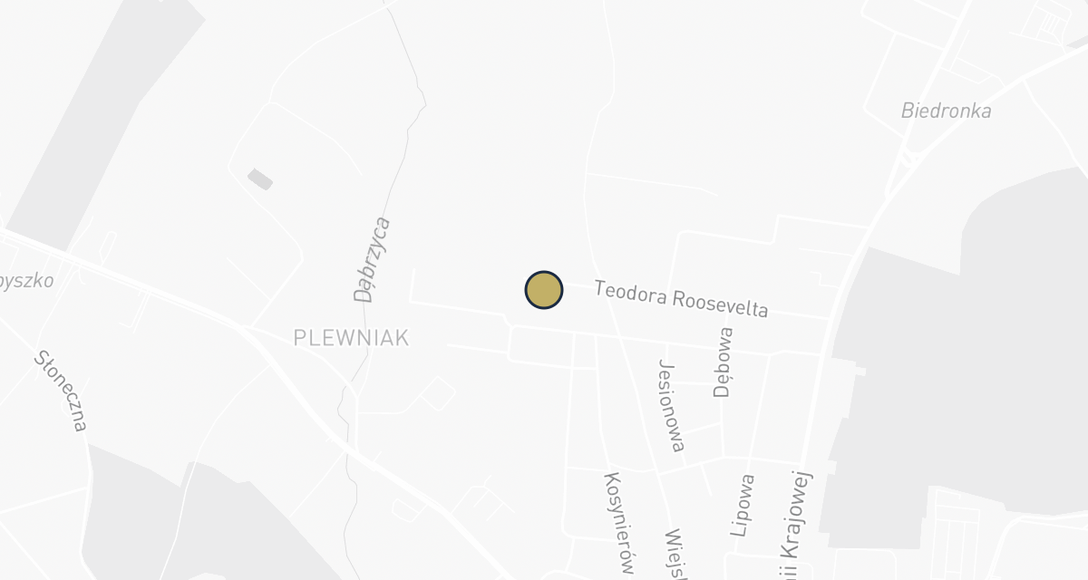 Mapa dojazdu: Lek. wet. Berezowski Mirosław