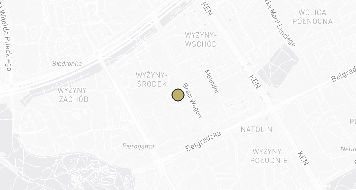 Mapa dojazdu: Przychodnia Weterynaryjna PsiKot