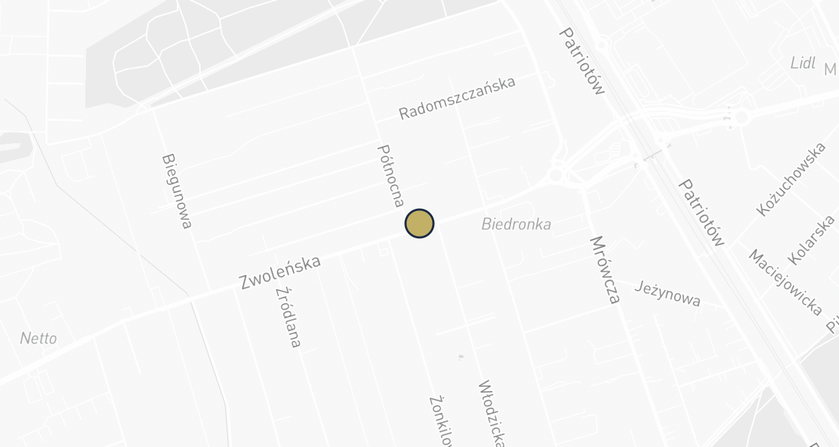 Mapa dojazdu: Gabinet Weterynaryjny Domowete