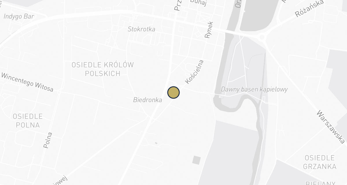 Mapa dojazdu: Madwet. Usługi weterynaryjne. Mierzejewski M.