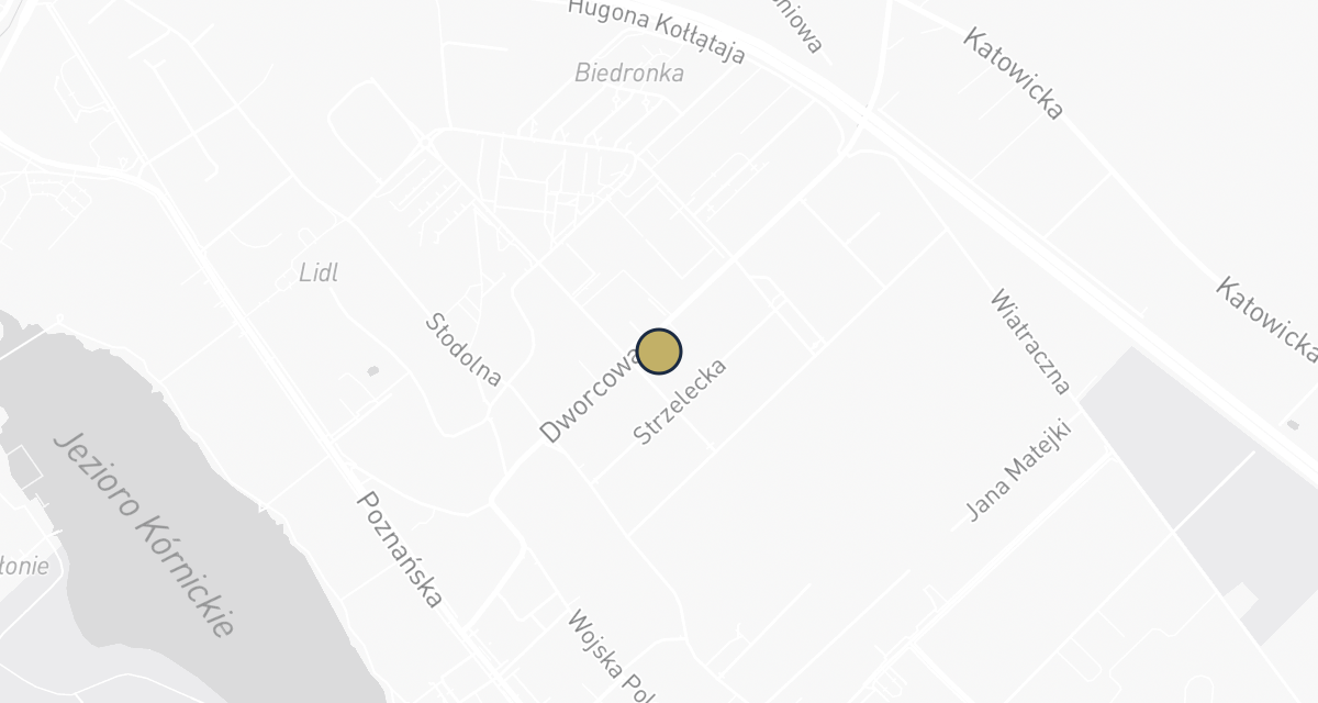 Mapa dojazdu: Lekarz weterynarii - Maciej Grząślewicz