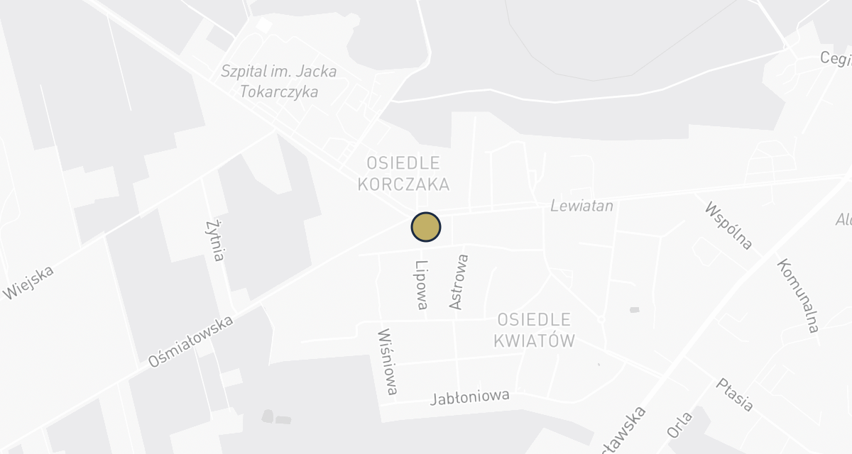 Mapa dojazdu: Gabinet weterynaryjny Zenon Janiszewski