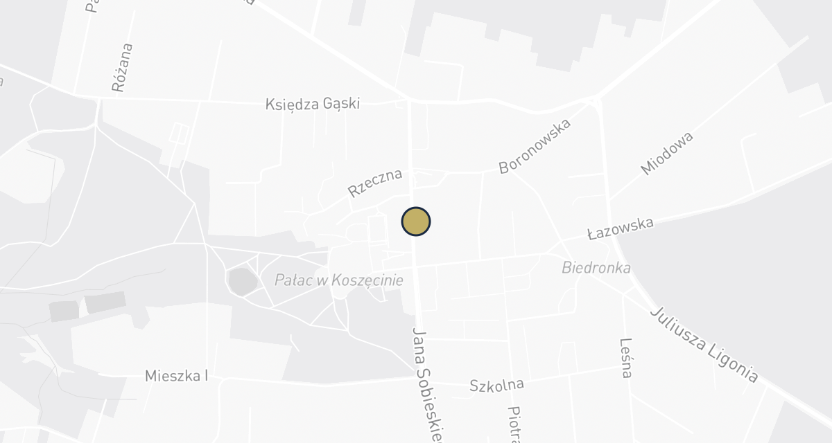 Mapa dojazdu: Usługi Weterynaryjne Zbigniew Klimaszewski