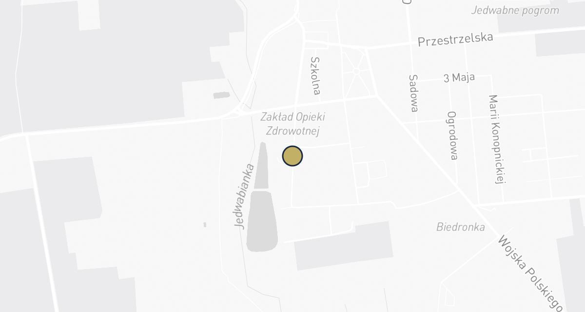 Mapa dojazdu: Dąbrowski Marek. Gabinet dla zwierząt