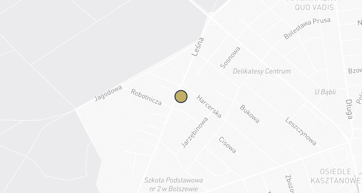 Mapa dojazdu: Weterynarz Bolszewo