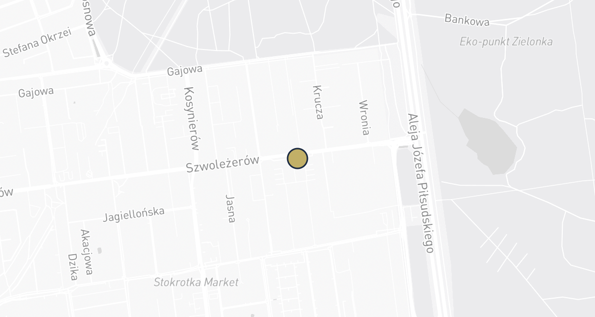 Mapa dojazdu: Bonifacy. Gabinet weterynaryjny