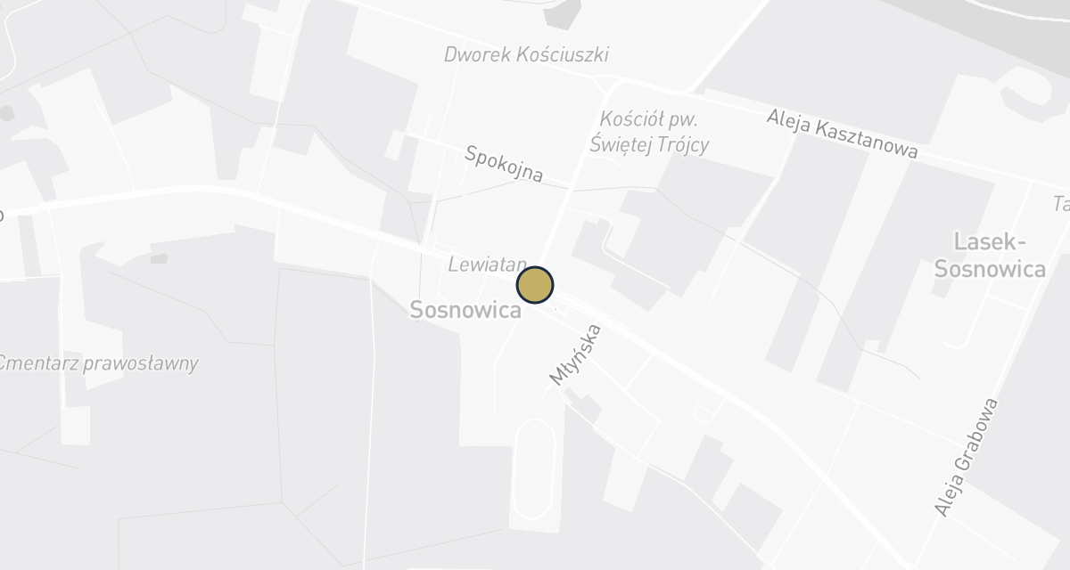 Mapa dojazdu: Lecznica dla zwierząt s.c.