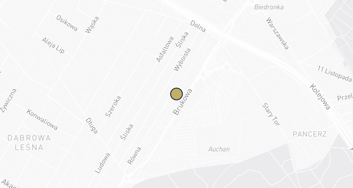 Mapa dojazdu: Przychodnia Weterynaryjna "DĄBROWA"