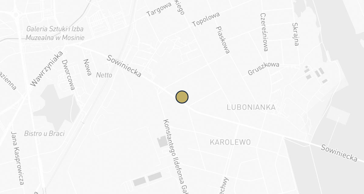 Mapa dojazdu: Wysiadły Wojciech. Gabinet weterynaryjny