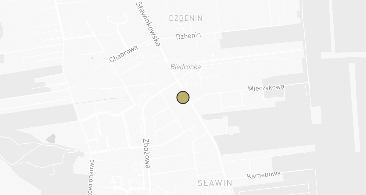 Mapa dojazdu: AgiVet