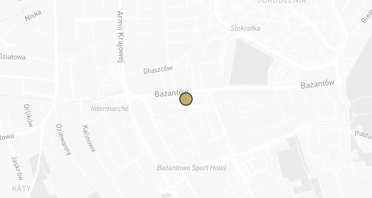 Mapa dojazdu: Przychodnia Weterynaryjna iVet